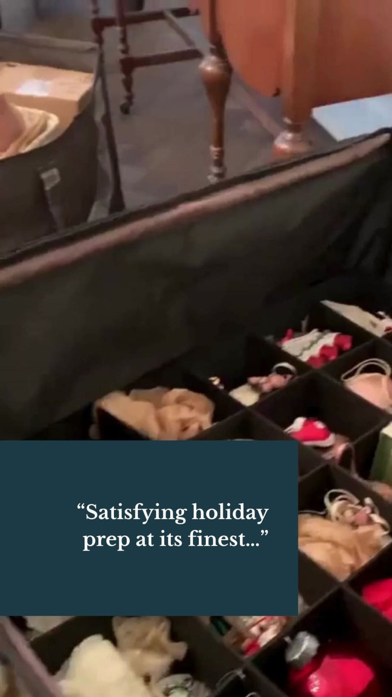 Ornament Storage Box with Dividers