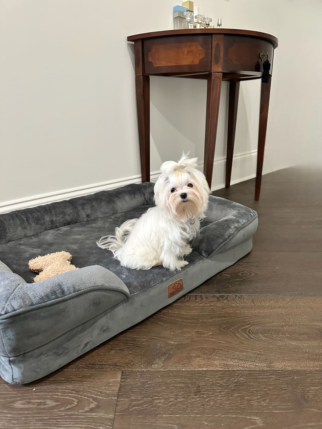 Best Dog Bed with Removable Washable Cover