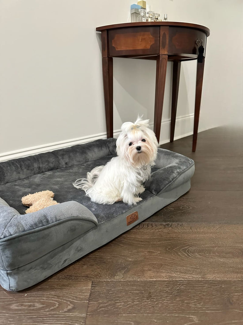 Best Dog Bed with Removable Washable Cover
