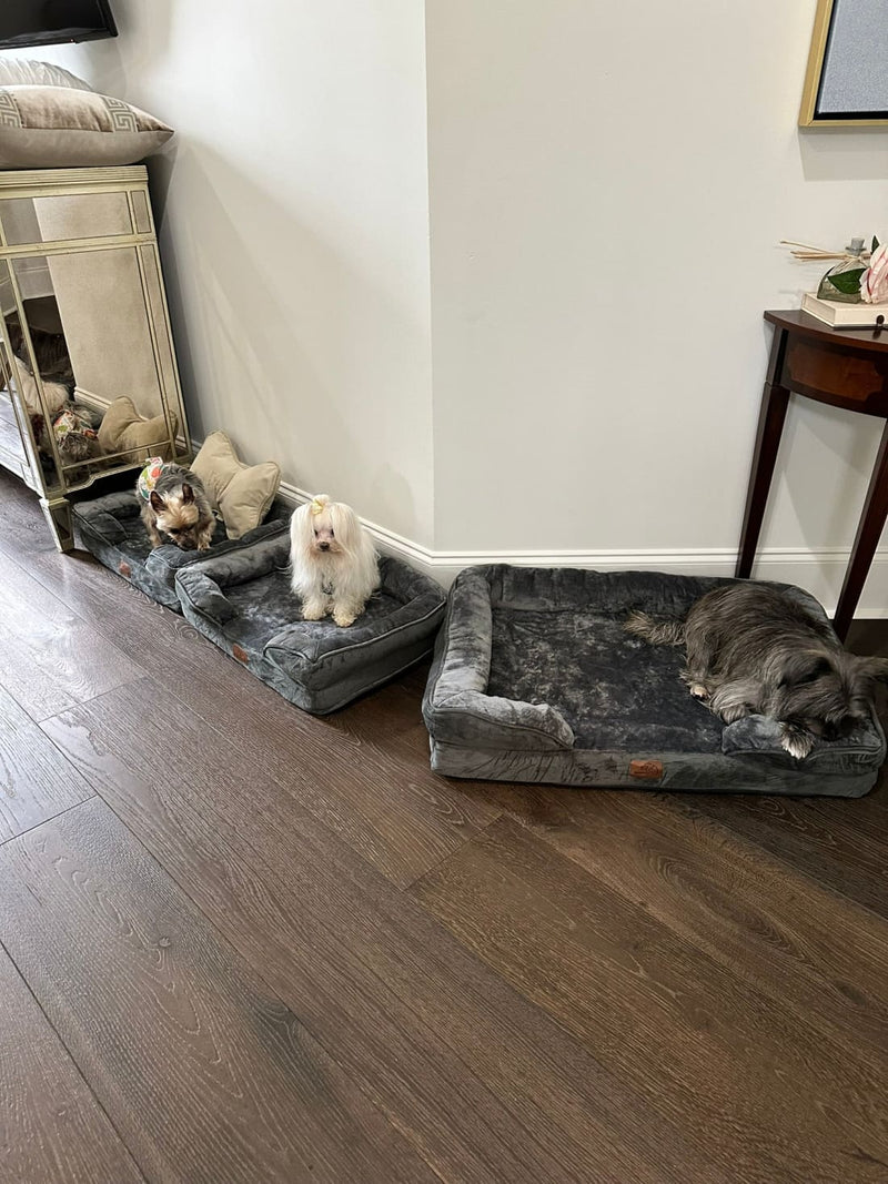 Best Dog Bed with Removable Washable Cover