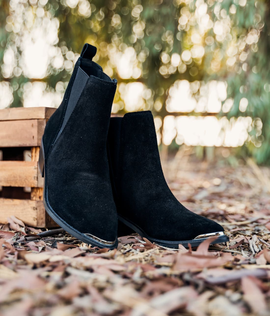 Wylie Suede Ankle Boot in Black | Shoes